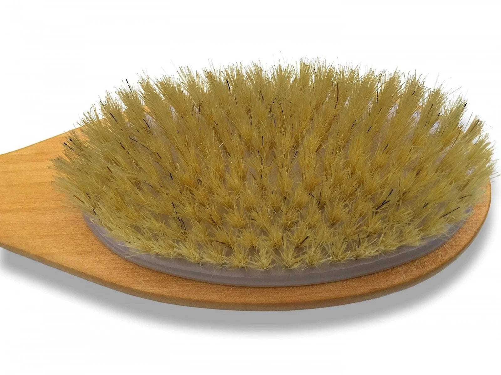 Smooth Skin Natural Bristle Bath Brush 2-in-1 Exfoliating Body Reduces Cellulite