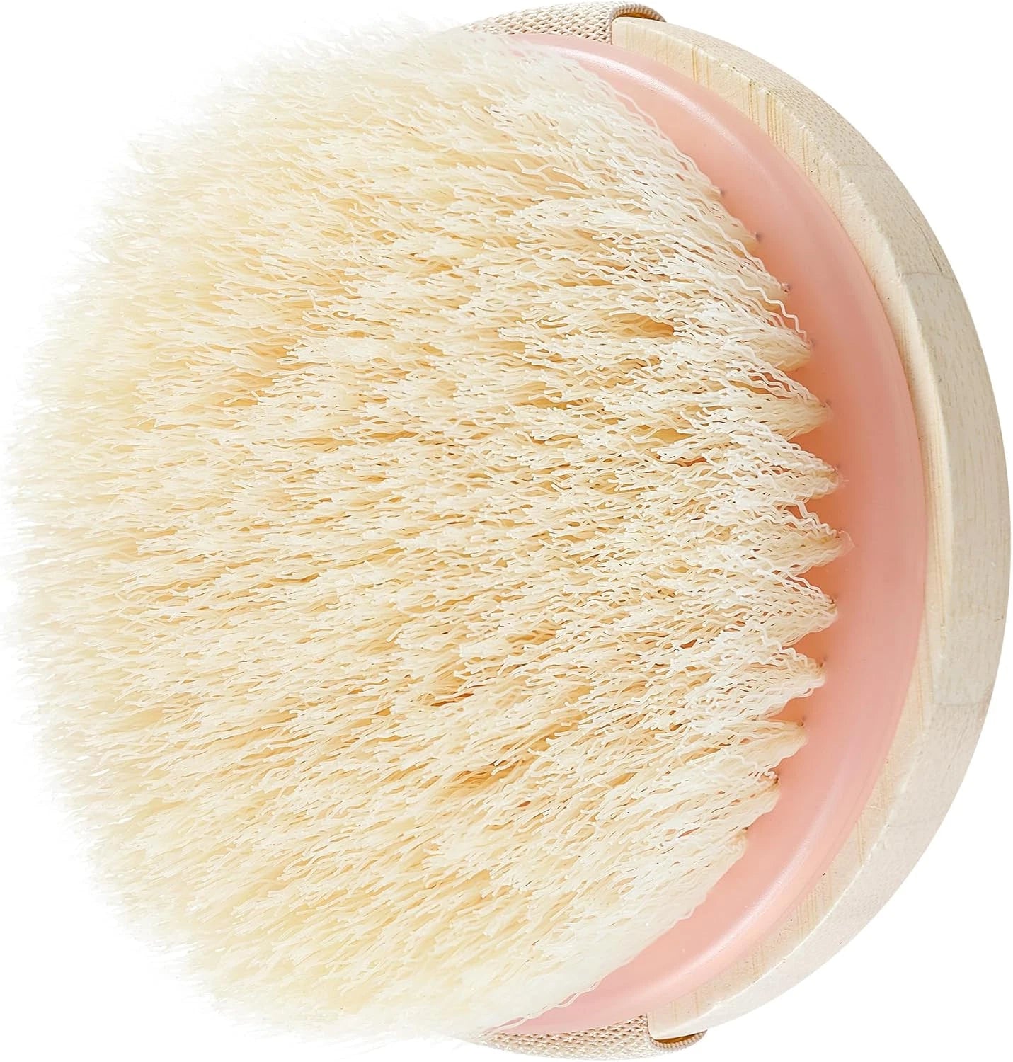 Dry Body Brush, Exfoliating Bristles, Eco-Friendly Skincare Tool, 1 Count