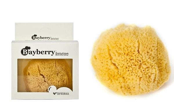 Bayberry Natural Kalymnos Greek Sea Sponge(Typehard) 4'' X 1ea