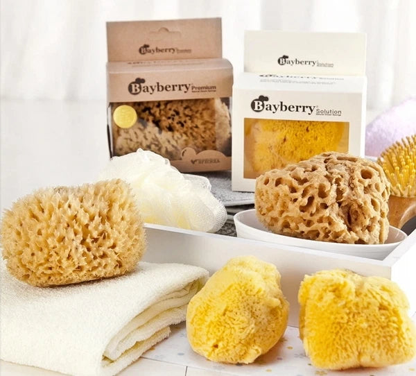 Bayberry Natural Kalymnos Greek Sea Sponge(Typehard) 4'' X 1ea