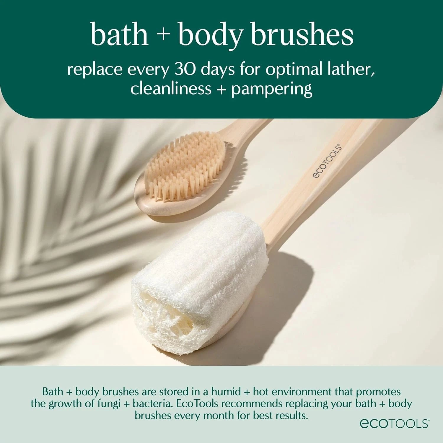 Dry Body Brush, Exfoliating Bristles, Eco-Friendly Skincare Tool, 1 Count