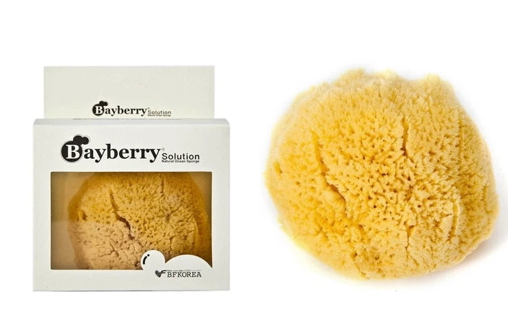 Bayberry Natural Kalymnos Greek Sea Sponge(Typehard) 4'' X 1ea