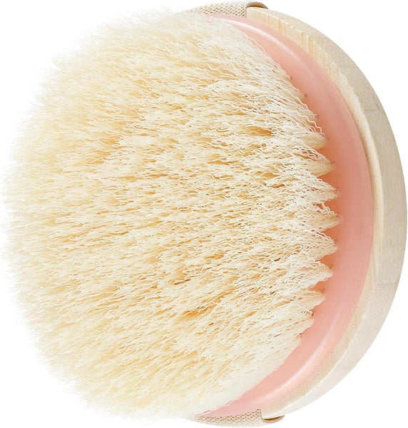 Dry Body Brush, Exfoliating Bristles, Eco-Friendly Skincare Tool, 1 Count
